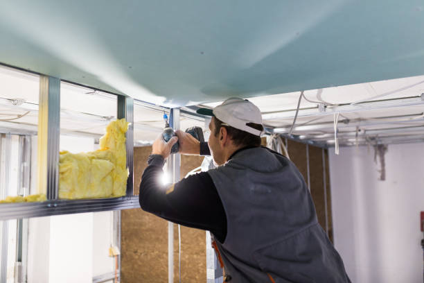 Insulation Replacement Services in Seadrift, TX