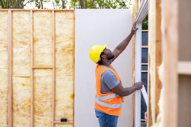 Best Insulation Inspection Services  in Seadrift, TX