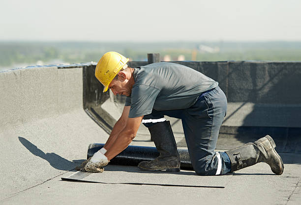 Best Commercial Insulation Contractor  in Seadrift, TX
