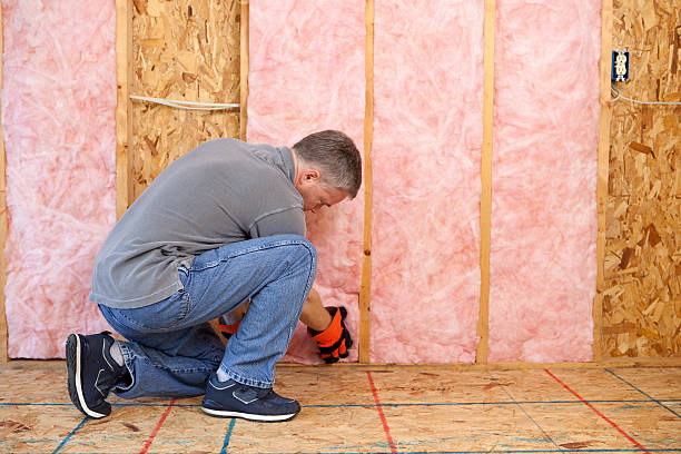 Best Residential Insulation Services  in Seadrift, TX