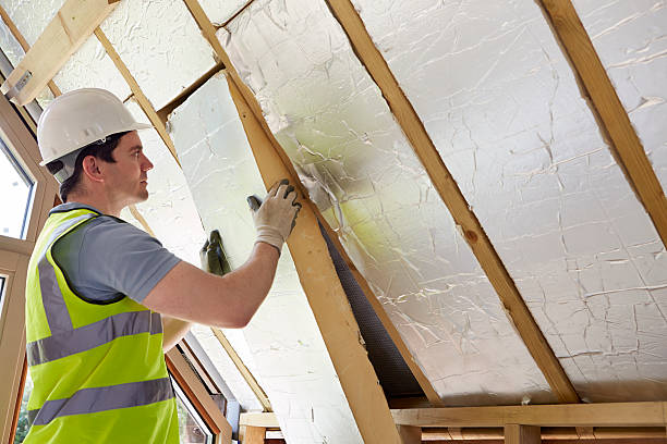 Best Energy-efficient Insulation  in Seadrift, TX
