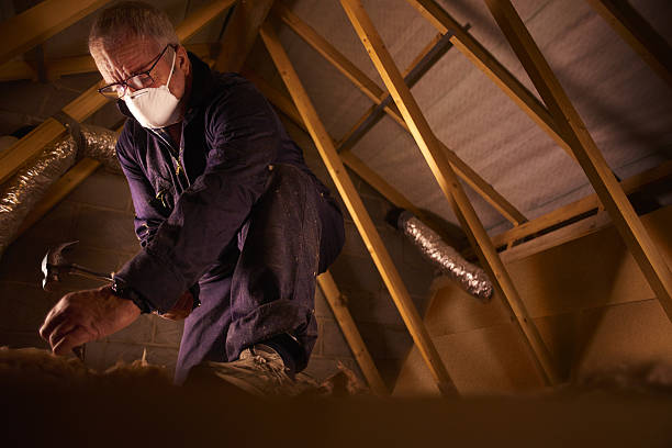 Best Soundproof Insulation Installation  in Seadrift, TX